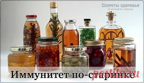 Народные средства, повышающие тонус и укрепляющие иммунитет / Абсолютное здоровье