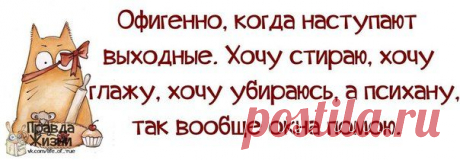 мудрязматики