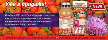 &quot;ГАСТРОФИЛИН ПЛЮС&quot; (БАД) 100 МЛ