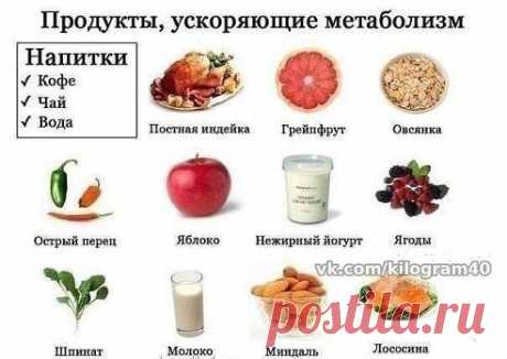 продукты ускоряющие метаболизм и сжигание жиров