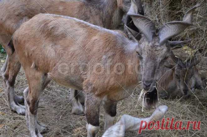 страницы которые создавались константина валерьевича сосницкого краснодар: 10 тыс изображений найдено в Яндекс.Картинках