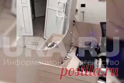 В российской больнице медработники устроили драку и разгромили приемный покой. В центральной районной больнице поселка Мишкино Курганской области подрались медработники, отмечавшие новогодний корпоратив. Во время застолья между сотрудниками медучреждения началась ссора, в ходе которой они переместились в здание больницы. В результате участники конфликта разгромили приемный покой.
