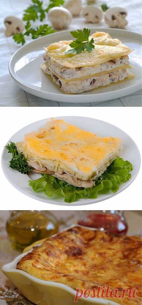 Лазанья с курицей: 5 рецептов вкусного и простого блюда / Простые рецепты