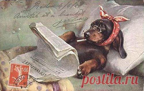 Найдено на сайте google.nl.