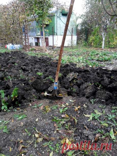 Вспомнилась песня Высоцкого... - 17 Октября 2016 - Персональный сайт