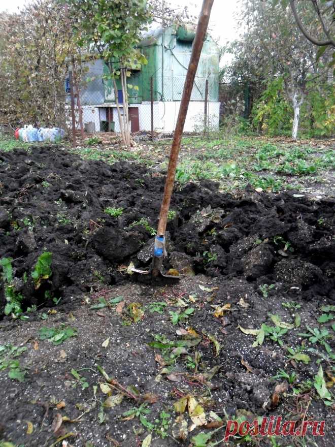 Вспомнилась песня Высоцкого... - 17 Октября 2016 - Персональный сайт
