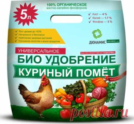 Удобрения для посадки клубники весной, летом и осенью