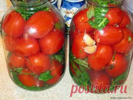 Квашеные помидоры — лучшая закуска