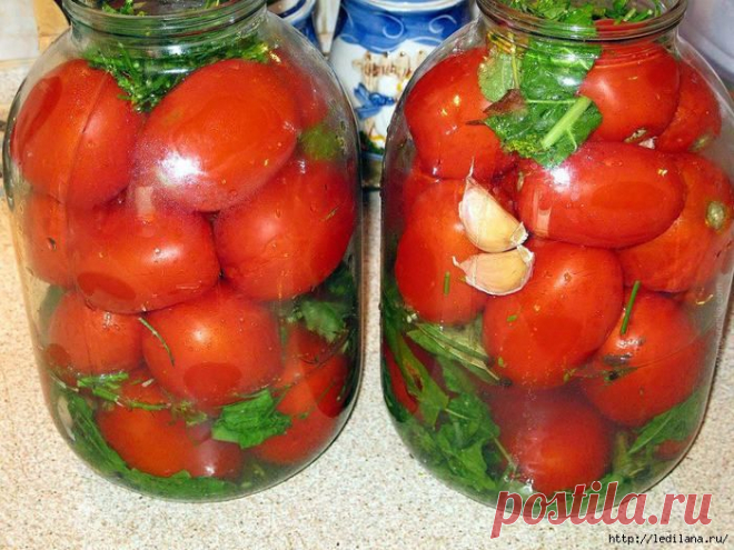 Квашеные помидоры — лучшая закуска