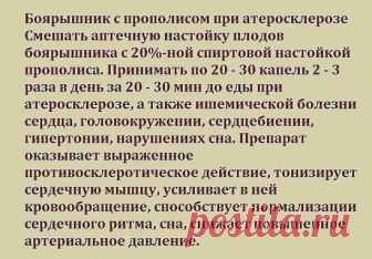 Боярышник с прополисом при атеросклерозе