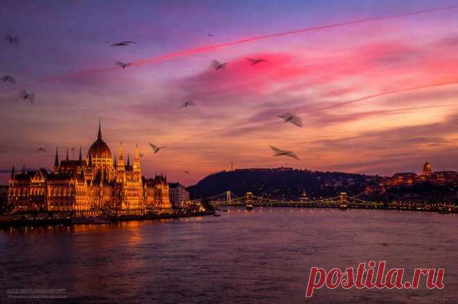 Фотограф 5 лет охотился за светом, чтобы показать настоящую красоту Будапешта