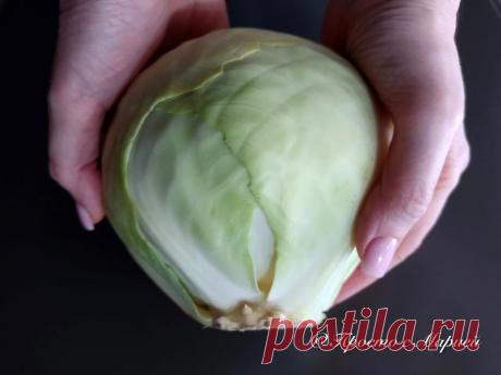 Капусту не тушу и не жарю: готовлю «по-ленивому» в пакете и получаю вкусное и нежирное блюдо (сытно, как с мясом) | Просто с Марией | Яндекс Дзен