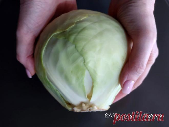 Капусту не тушу и не жарю: готовлю «по-ленивому» в пакете и получаю вкусное и нежирное блюдо (сытно, как с мясом) | Просто с Марией | Яндекс Дзен