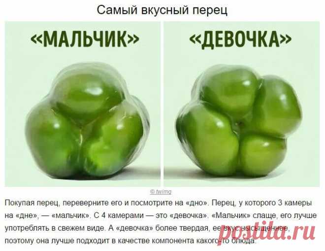 Семена для посалки берут у девочек