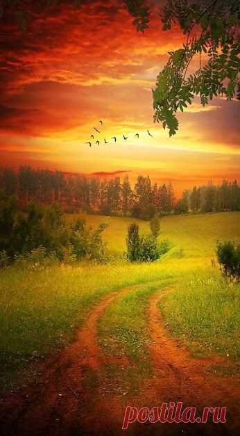 Kirill Gerusov – Google+