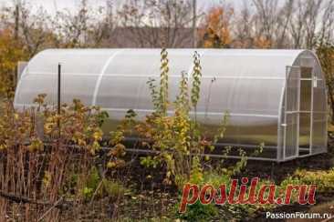 Дачникам. Осенняя защита сада и огорода Как не дать вредителям перезимовать.Когда урожай собран, а грядки опустели, многие садоводы считают, что основные заботы позади. Однако именно сейчас наступает ключевой момент для защиты будущего урожая: вредители активно готовятся к зимовке, занимая стратегические позиции в вашем саду и...