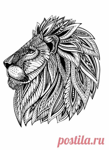 Раскраска антистресс лев - My Antistress раскраски для всех