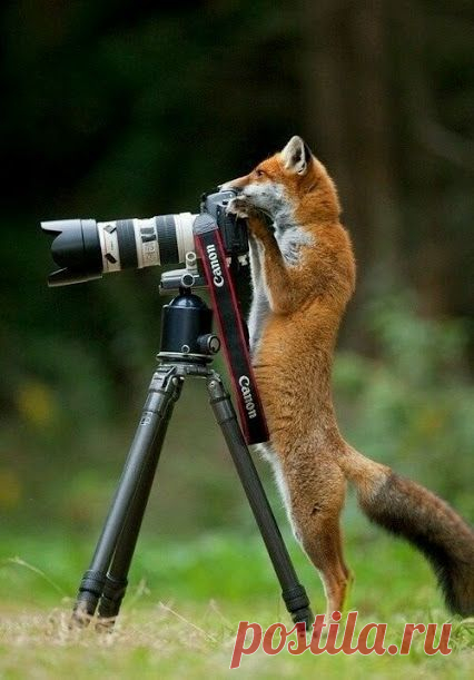 Google+