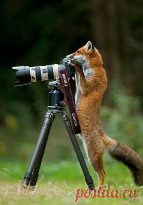 Google+
