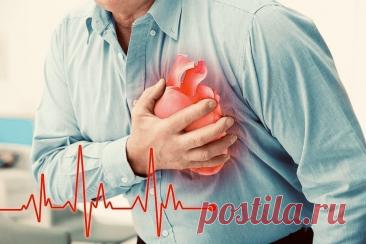 Основные причины сердечно-сосудистых заболеваний: подробный обзор факторов риска | PortalBio