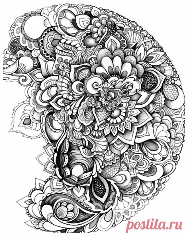 Контурные рисунки. Раскраски. Микс