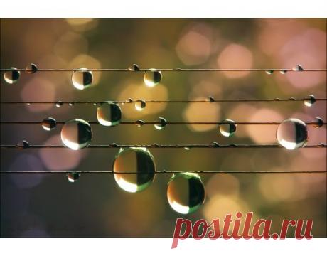 Струи летнего дождя,
Словно в мокром шарфе,
Исполняют для тебя
Музыку на арфе.

Сквозь завесу синих туч -
Солнечные блики,
И по струнам арфы - луч,
В лужах - чьи-то лики...

И земля и небосвод
В дружеском союзе,
Между ними хоровод,
Что подвластен музе.

То сильнее дождь шумит,
То идет потише,
Контрабасом гром гремит,
Птицы кружат ниже.

Не укрыться от дождя
В легком синем шарфе,
Дождь играет для тебя
Музыку на арфе.

 Без исполнителя — МУЗЫКА ДОЖДЯ