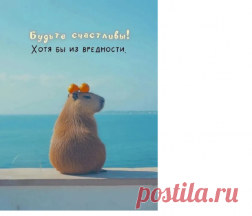 Выпуск №6752 - выпуск анекдотов сайта вокруг смеха