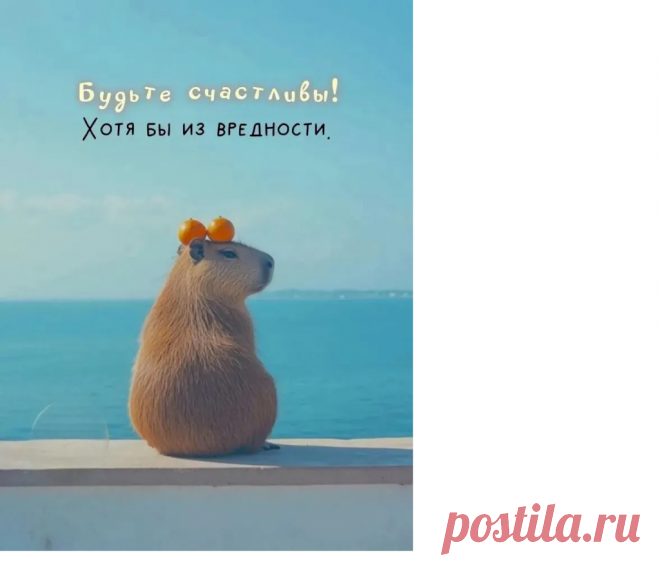 Выпуск №6752 - выпуск анекдотов сайта вокруг смеха