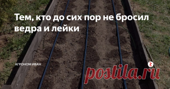 Тем, кто до сих пор не бросил ведра и лейки Ведра и лейки, конечно, еще не ушли в прошлое, но капельный полив, значительно облегчил труд огородника.
Я однозначно выбираю капельный полив, конечно, потратиться на специальные шланги придется, но это того стоит.
Когда я только купил такой шланг, восторгу не было предела. Вода живописно проступала капельками росы и поила растения.
Потом я прикупил трехканальный плоский шланг. Положишь одной стор