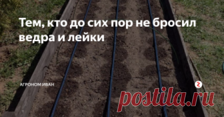 Тем, кто до сих пор не бросил ведра и лейки Ведра и лейки, конечно, еще не ушли в прошлое, но капельный полив, значительно облегчил труд огородника.
Я однозначно выбираю капельный полив, конечно, потратиться на специальные шланги придется, но это того стоит.
Когда я только купил такой шланг, восторгу не было предела. Вода живописно проступала капельками росы и поила растения.
Потом я прикупил трехканальный плоский шланг. Положишь одной стор