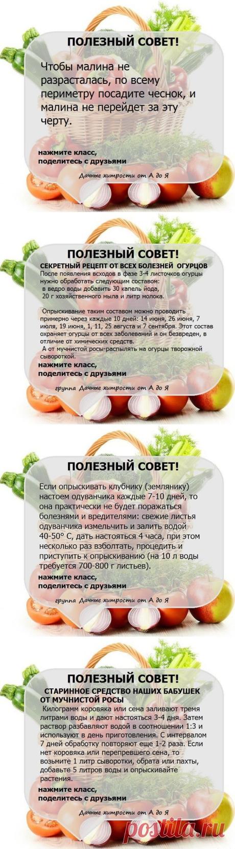 Очень РЕДКО встречаешь такие СОВЕТЫ.