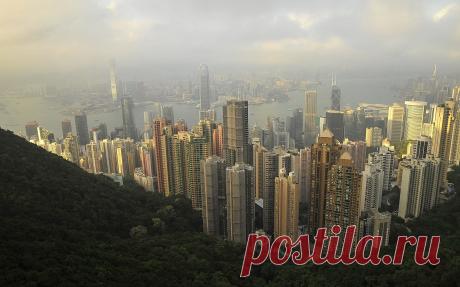 Гон - Конг !!!