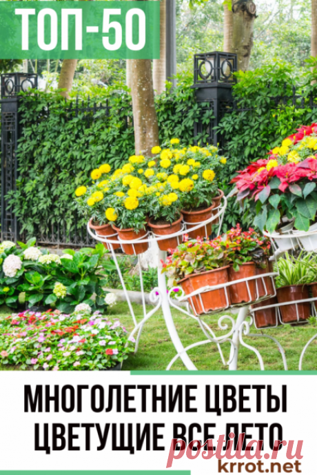 Многолетние Цветы: ТОП-50 Садовый Каталог c Фото - Krrot.net