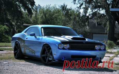 Dodge Challenger / Только машины