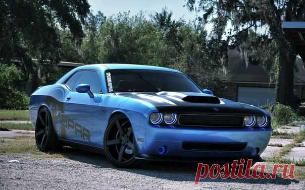 Dodge Challenger / Только машины