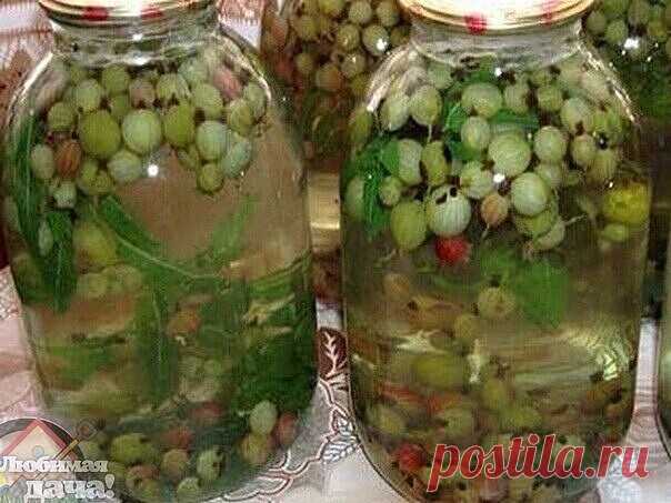 Компот из крыжовника 