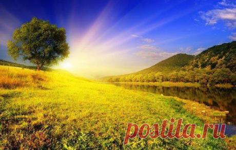 В ком любовь, тот не имеет ни соперничества, ни зависти, ни ненависти; тот не радуется падению других, но соболезнует о них и принимает в них участие.
прп. Ефрем Сирин