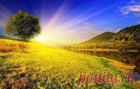 В ком любовь, тот не имеет ни соперничества, ни зависти, ни ненависти; тот не радуется падению других, но соболезнует о них и принимает в них участие.
прп. Ефрем Сирин