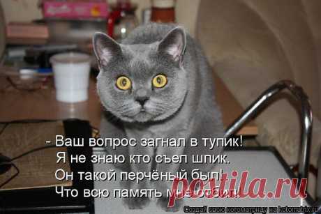 анатолий: Я ГОВОРЮ, ЧТО ДУМАЮ И ДУМАЮ, ЧТО ГОВОРЮ