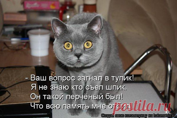 анатолий: Я ГОВОРЮ, ЧТО ДУМАЮ И ДУМАЮ, ЧТО ГОВОРЮ