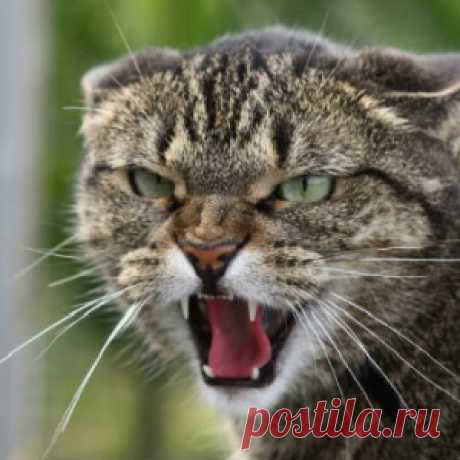 Краснодар стонет от наплыва переселенцев со всей РФ