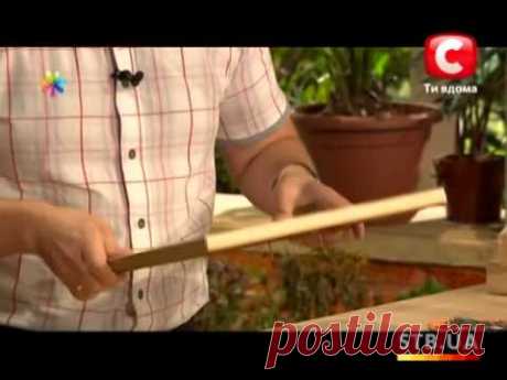 Красивый способ хранения катушек ниток - Все буде добре - Выпуск 13 - 23.07.2012 - Все будет хорошо