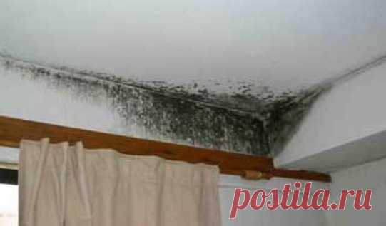 ЭТО ЧИСТЯЩЕЕ СРЕДСТВО УБИВАЕТ ВСЮ ПЛЕСЕНЬ! ПРОВЕРЕНО ГОДАМИ!