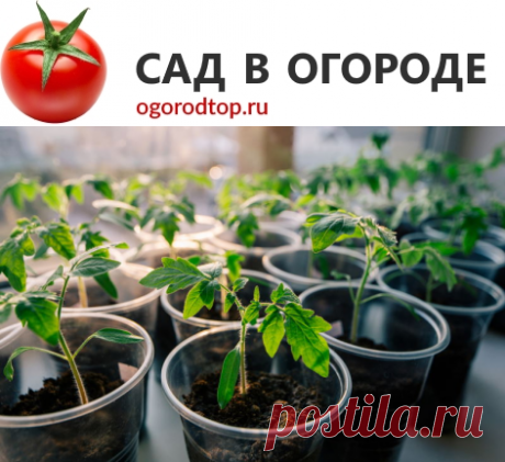 Лунный календарь садовода и огородника на 2022 год: посевной, по месяцам, по знаку зодиака, бдагоприятные и неплодородные
