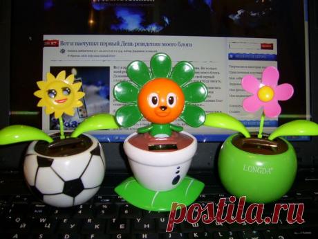 Flip Flap – солнечный цветок для поднятия настроения