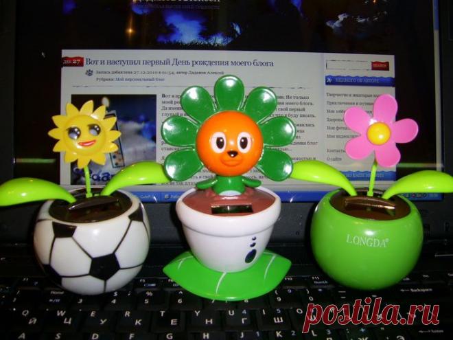 Flip Flap – солнечный цветок для поднятия настроения