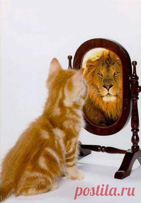 Мудрые фразы о жизни и любви