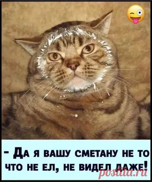 Степень адекватности бабы легко определить по естественности ее бровей - Приколисты - медиаплатформа МирТесен