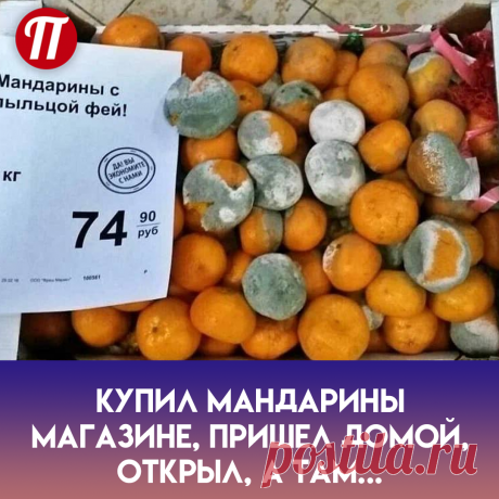 Я ему сказал: &quot;Хорошо, если нормальные, ешь. Если съешь и не поморщишься ? без претензий, тут же уйду&quot;. Тот согласился.
Съел два и говорит ? все, мол, это дневная норма. А я ему ? какая дневная норма, ешь все.
Съел он все пять штук плесневелых ? и ведь видно, что давится, лицо аж позеленело, но ест!
? Молодец, а теперь зови старшего менеджера.
Тот подходит.
? Дайте мне новые мандарины, потому что ваш сотрудник мои только что сожрал
Не забуду этот взгляд никогда.