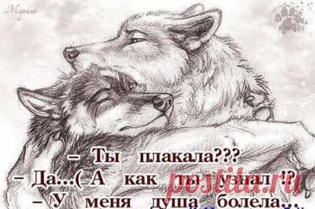 ВЕРНОСТЬ и ЧЕСТНОСТЬ присущи только немногим ...достойным людям! Это слишком дорогой подарок, которого от дешёвых людей ждать не стоит!!!..